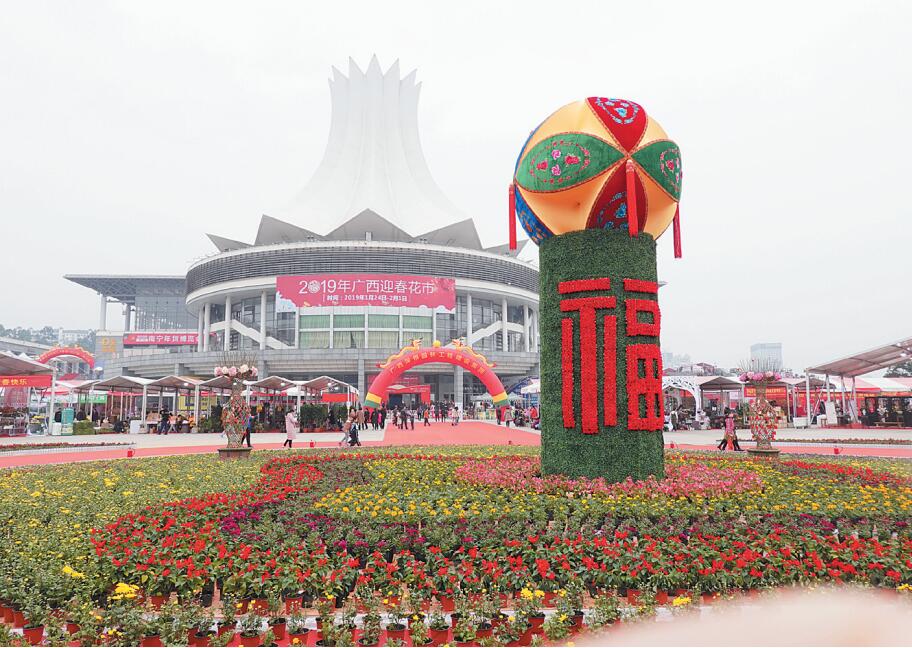 首屆廣西迎春花市在南寧啟幕 “當(dāng)家花旦”迎客來(lái)